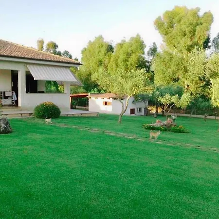 Con Piscina A 2km Dal Mare Di Con Ac E Wifi Per 6 Villa Alghero